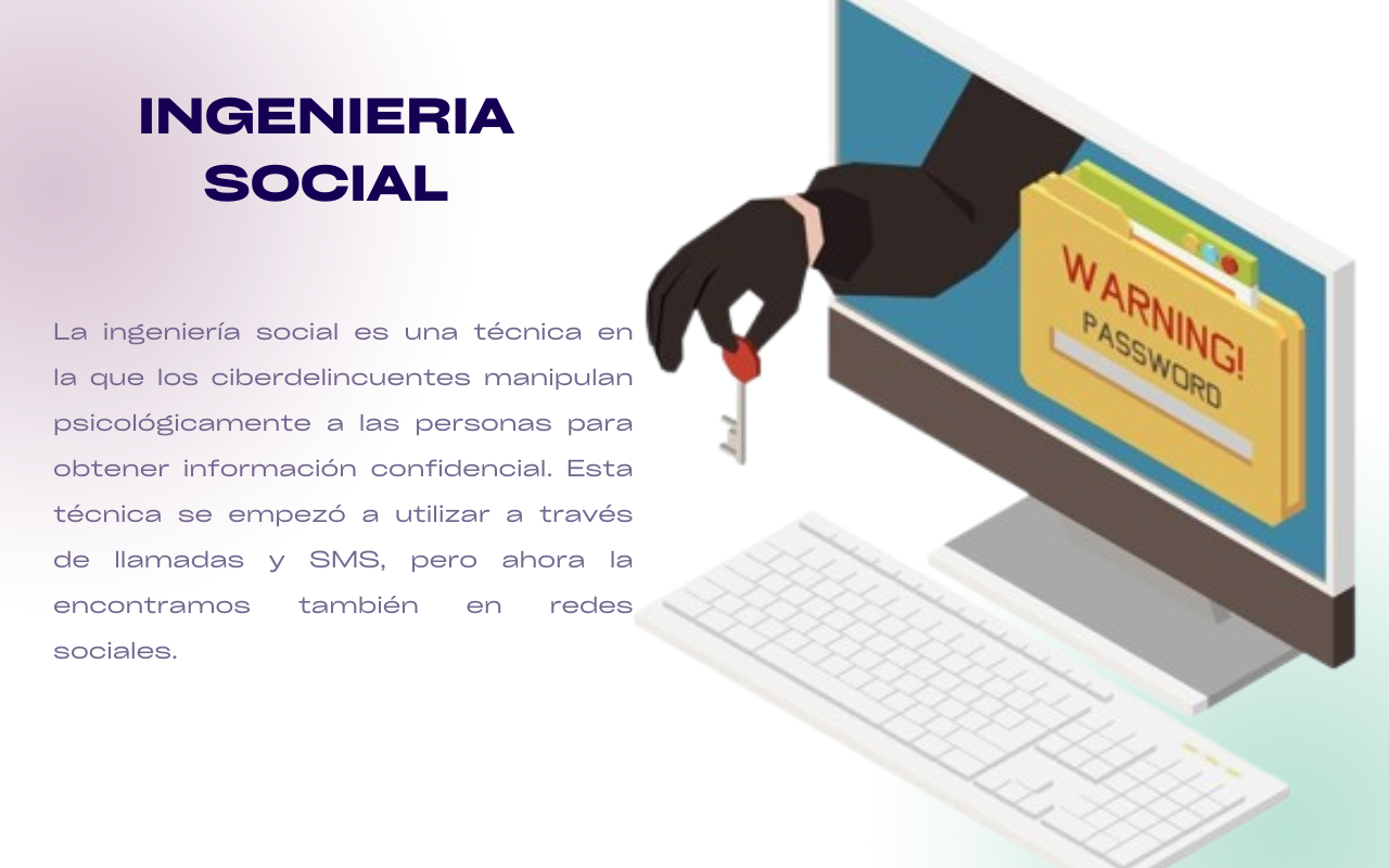 Imagen 6